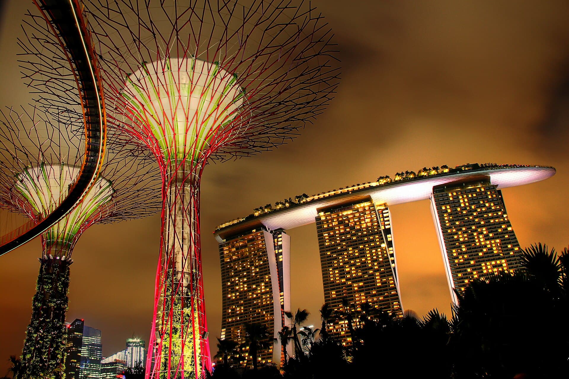 Gardens by the Bay Supertree Grove and Marina Bay Sands